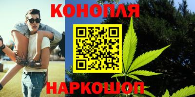 прущие грибы Апрелевка