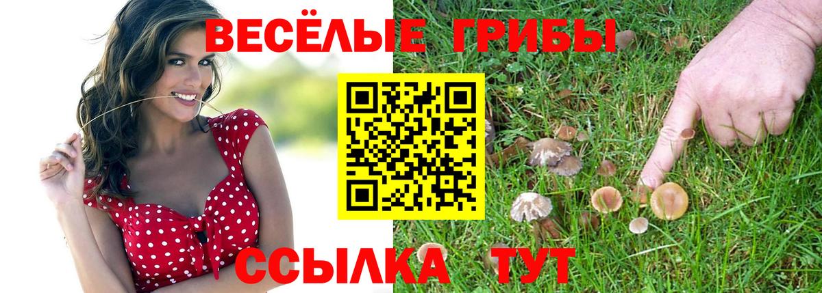 Галлюциногенные грибы MAGIC MUSHROOMS Баксан